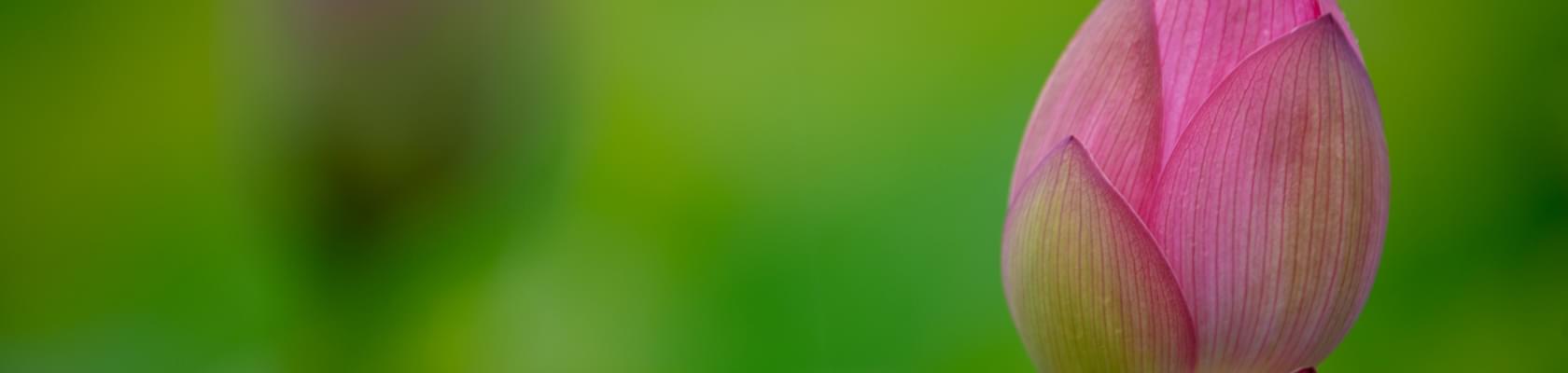 Kouji tsuru Xzt Pfgg D Shc unsplash