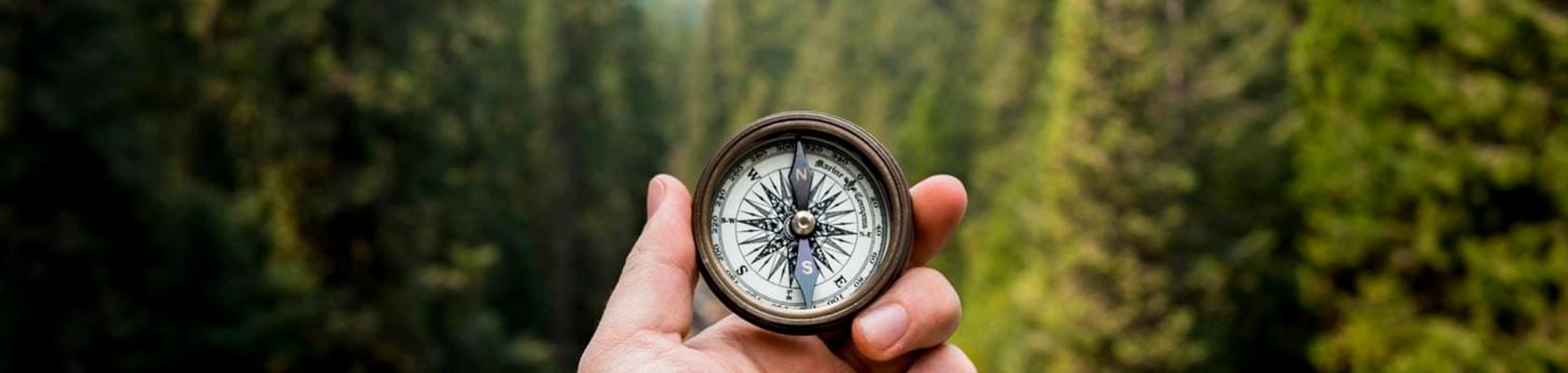 Photo 1505778276668 26b3ff7af103